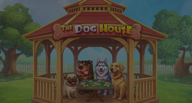 The Dog House